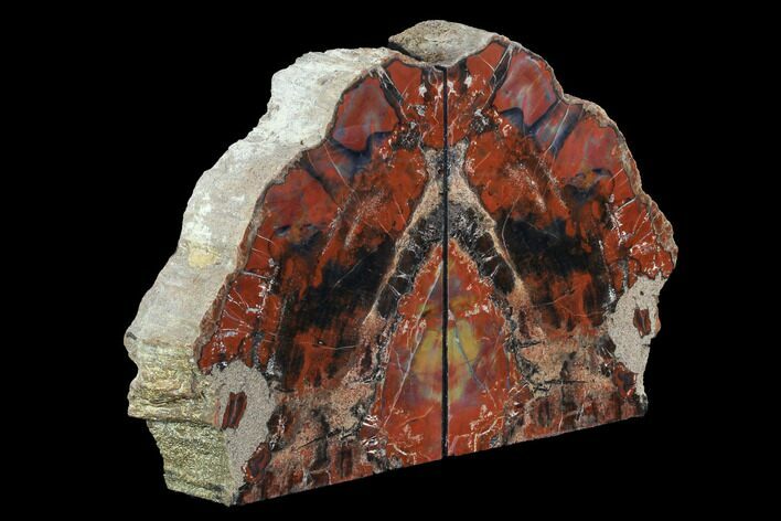 Tall, Arizona Petrified Wood Bookends - Red & Black #95974